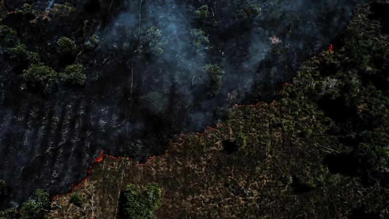 Mudanças climáticas tornam o regime de chuvas na Amazônia mais sensível ao desmatamento — Foto: Adobe Stock