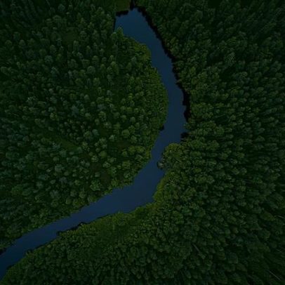 Perda de biodiversidade pode desencadear crise de dívida em vários países