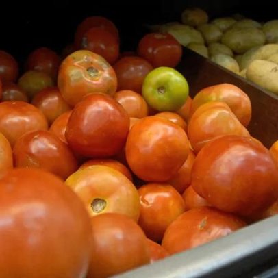 Alimentação e Habitação puxam 65,8% da alta do IPCA-15 em junho, aponta IBGE