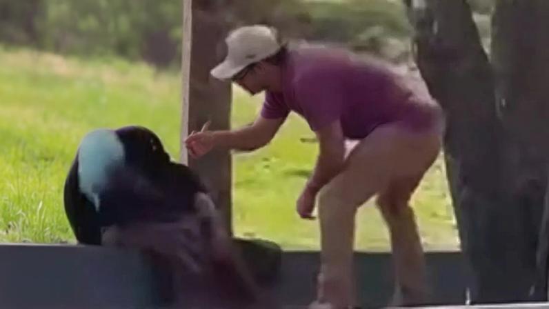 Agressão foi registrada em vídeo que passou a circular entre os moradores de Pirenópolis