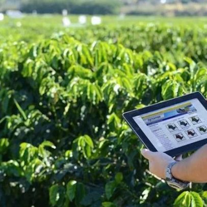Protecionismo e avanço tecnológico marcam o agro brasileiro