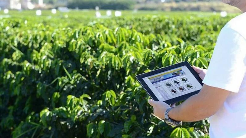 Na imagem, trabalhador do campo segura tablet com o aplicativo do sistema de monitoramento agrometeorológico da Embrapa