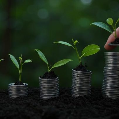 Agronegócio, biodiversidade e serviços ambientais em foco