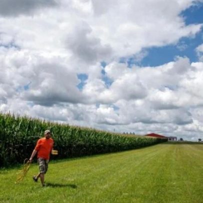 AgRural reduz previsão da 2ª safra de milho no Brasil