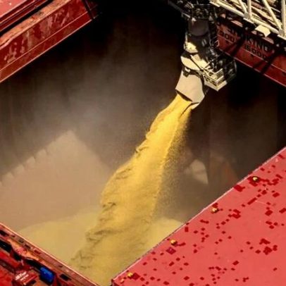 Processamento de soja nos EUA cai 1,4% em maio e frustra projeções