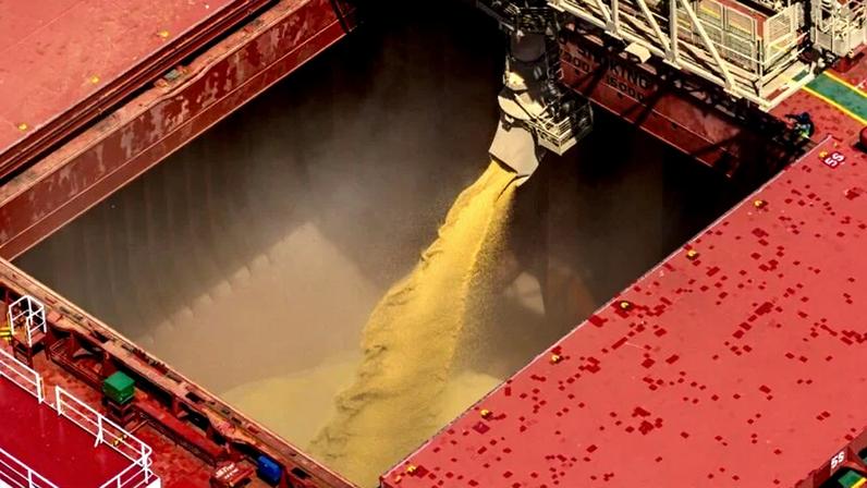 Carga de soja em navio