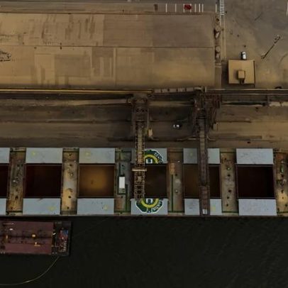 Anec aponta aumento nas exportações de soja do Brasil em junho ante 2025