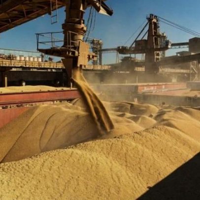 VBP Agropecuário soma R$ 1,4 trilhão em maio, com recuo de 4,6%