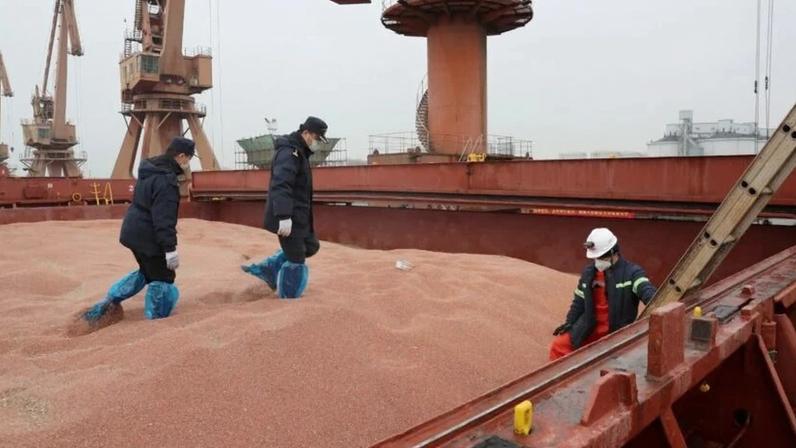 Carregamento de soja em navio
