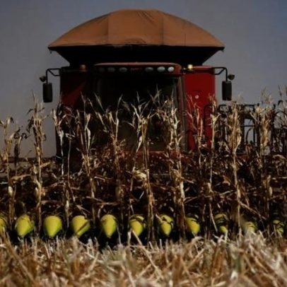 Colheita da segunda safra de milho chega a 2,4% da área no Centro-Sul