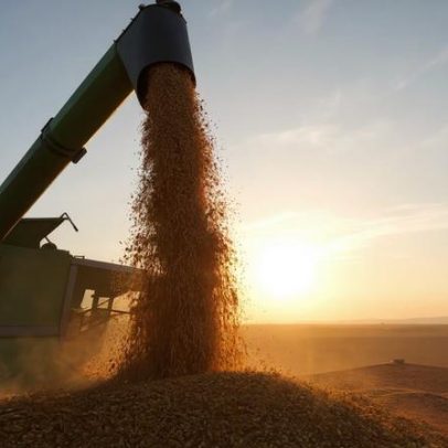 VEJA Fórum Agro 2026 foca oportunidades de crescimento e agenda setorial