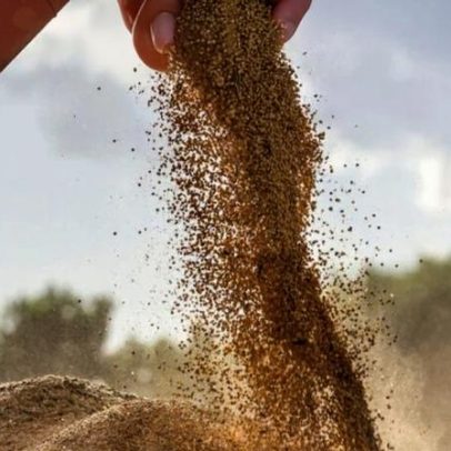 Exportações da América Latina sobem 16% no trimestre impulsionadas por China e EUA