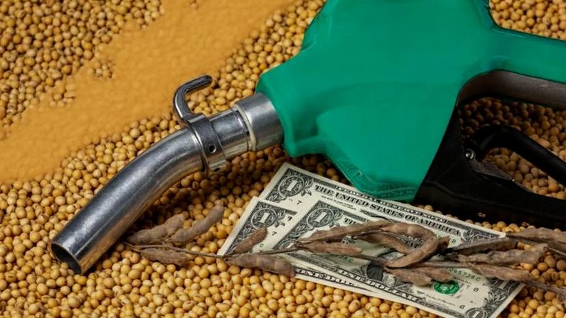 Grãos e vagens de soja com bomba de biodiesel e dólares