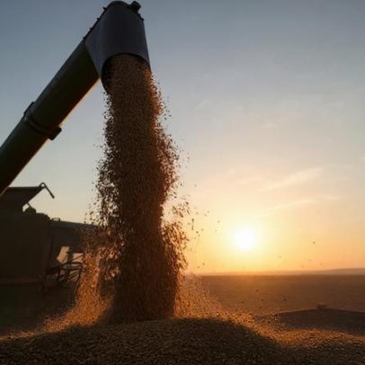 SLC Valora 1% em 2026, patrimônio chega a R$ 13,53 bilhões