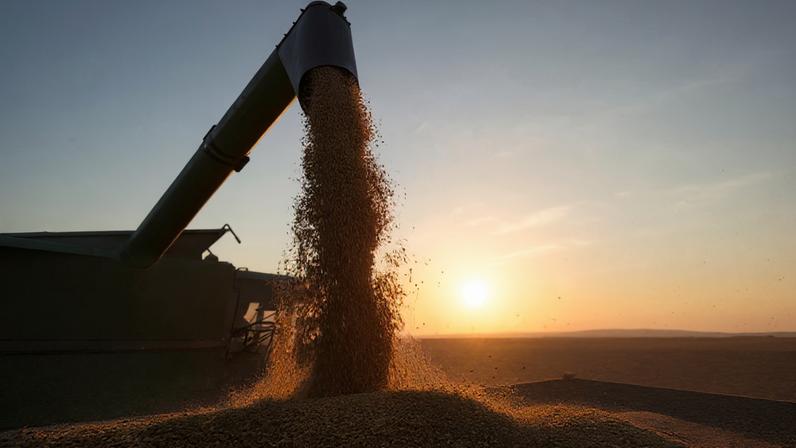 portfólio de terras da SLC Agrícola atingiu R$ 13,53 bilhões em 2026, alta de 1% em relação ao ano anterior