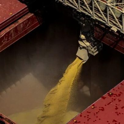 China mantém estimativas de safra de milho e soja para 2026/27