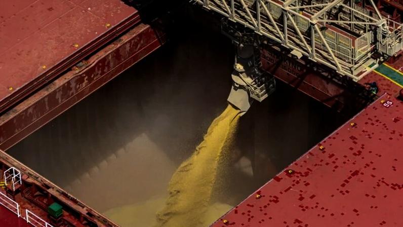 Carregamento de soja em navio exportador