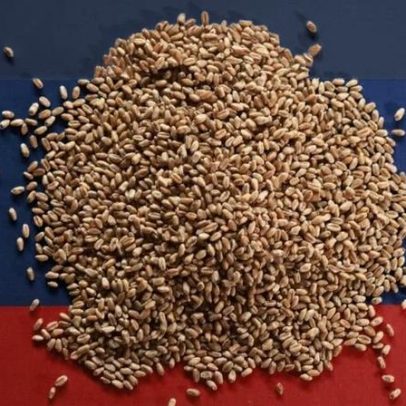 Safra de trigo da Rússia prevista em 91,2 milhões de toneladas