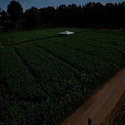 Agricultores pressionam Câmara por avanço de projeto sobre dívidas rurais