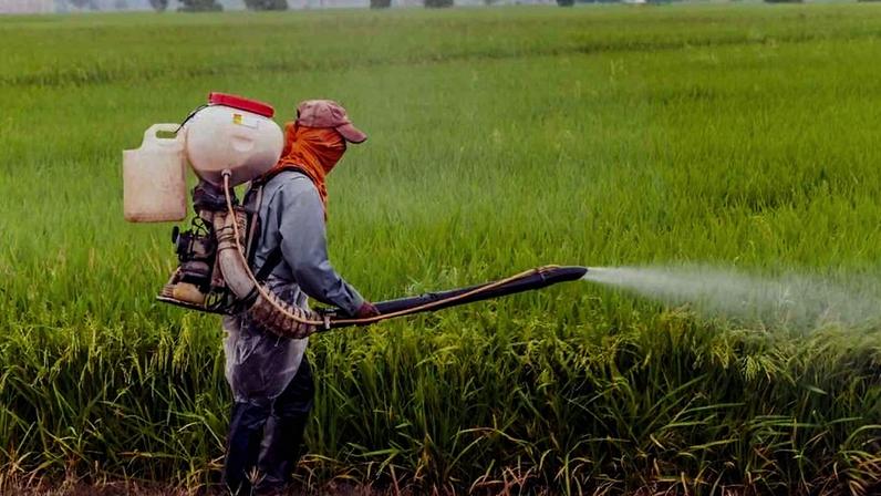 O chamado Sistema Campo Limpo recebeu, em 2025, 5.996 toneladas de embalagens vazias em suas 424 centrais de recolhimento espalhadas pelo país