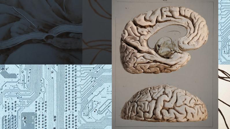 A collage of images showing a brain, a hand writing, and the inside of a computer chip.