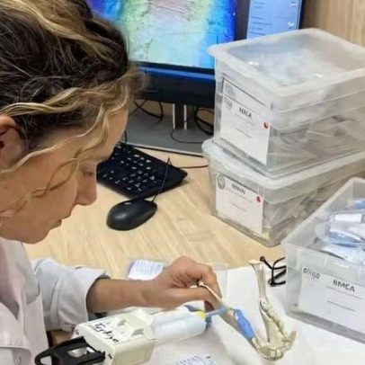 Cientistas reconstruem dieta ancestral a partir de dentes