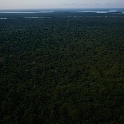 Luxemburgo destina 50 milhões ao Fundo de Florestas Tropicais e à sede financeira