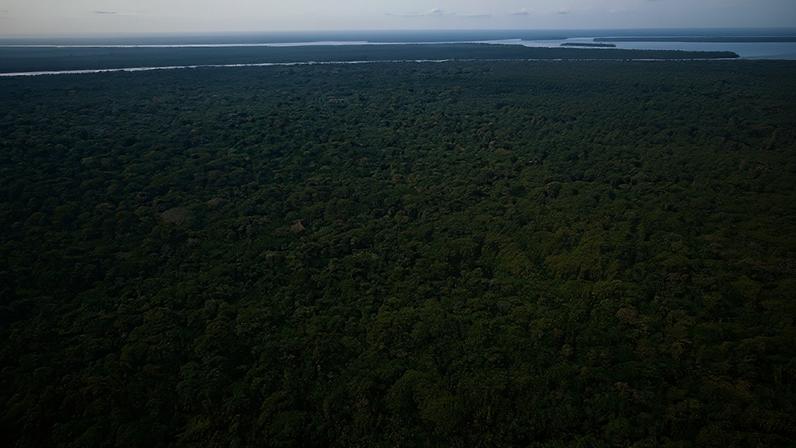 O Brasil abriga cerca de 60% da Amazônia, a maior floresta tropical do mundo (Ricardo Lima/Getty Images)