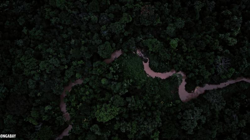 Nações passam de promessas a planos para a eliminação de combustíveis fósseis