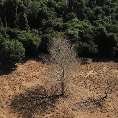 Grupo apresenta proposta sobre clima e meio ambiente a candidatos à presidência