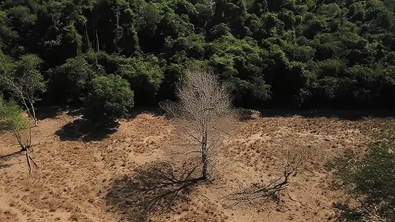 De acordo com o Instituto de Energia e Meio Ambiente (Iema), em 2024 o Brasil ocupou o sexto lugar em emissões totais de gases causadores das mudanças climáticas