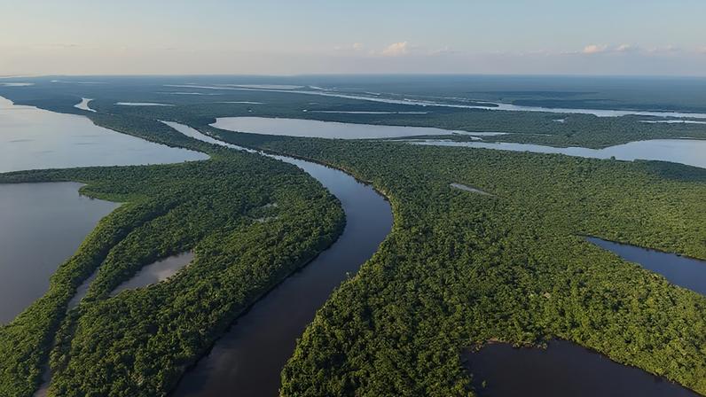 Amazônia — Foto: Cavan Images / Vitor Marigo