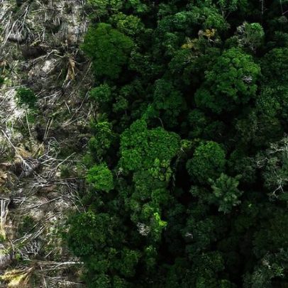 Crise climática é o maior desafio da história, diz cientista