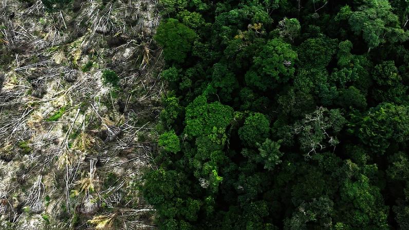 DESMATAMENTO AMAZONIA - FILE PHOTO: An aerial view shows a deforested area during an operation to combat deforestation near Uruara, Para State, Brazil January 21, 2023. REUTERS/Ueslei Marcelino