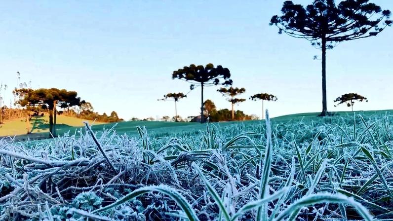 Geadas e temperaturas abaixo de zero marcam o Sul antes do retorno da chuva.