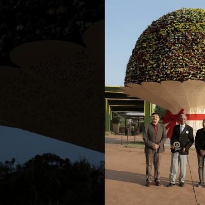 Índia cria o maior buquê de flores do mundo com 11.700 crisântemos