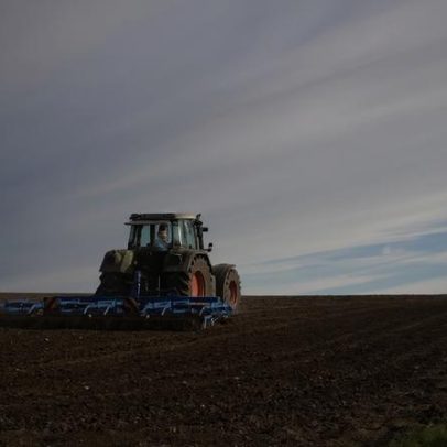 Agro paulista registra superávit de US$ 8,3 bi até maio