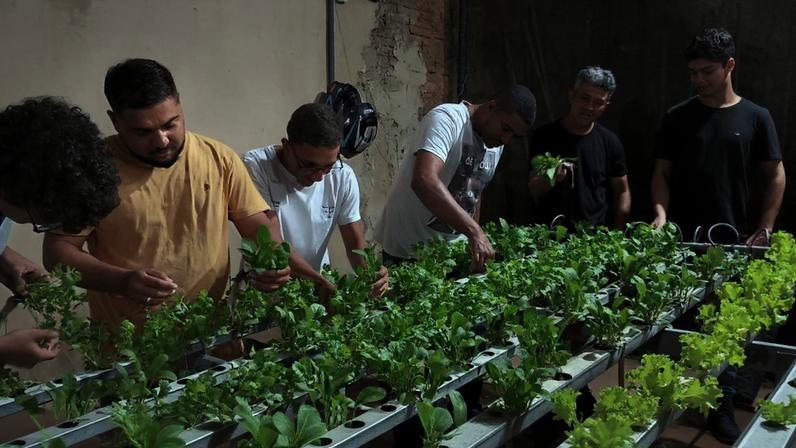Em Teófilo Otoni, a Alfa Unipac atualizou a grade curricular do curso de agronomia para atender a demanda de produtores rurais no ramo da fruticultura