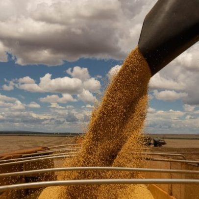 Mato Grosso revela lição sobre prosperidade econômica