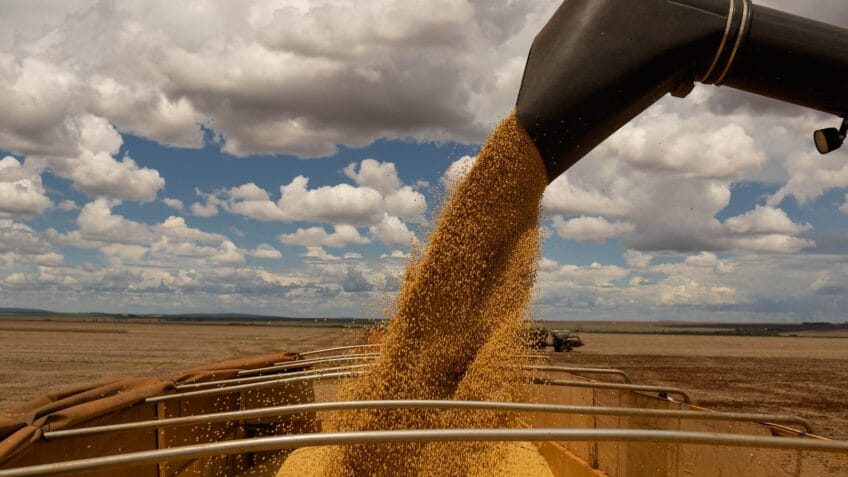 Quem vai a Mato Grosso ou outras regiões dominadas pela agricultura moderna e tecnológica percebe o imenso potencial de nosso país, diz o articulista; na imagem, soja produzida no Mato Grosso