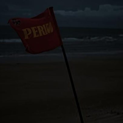Pernambuco retomará monitoramento de tubarões em julho após 11 anos