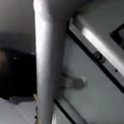 Carcará invade banheiro de apartamento e assusta moradores