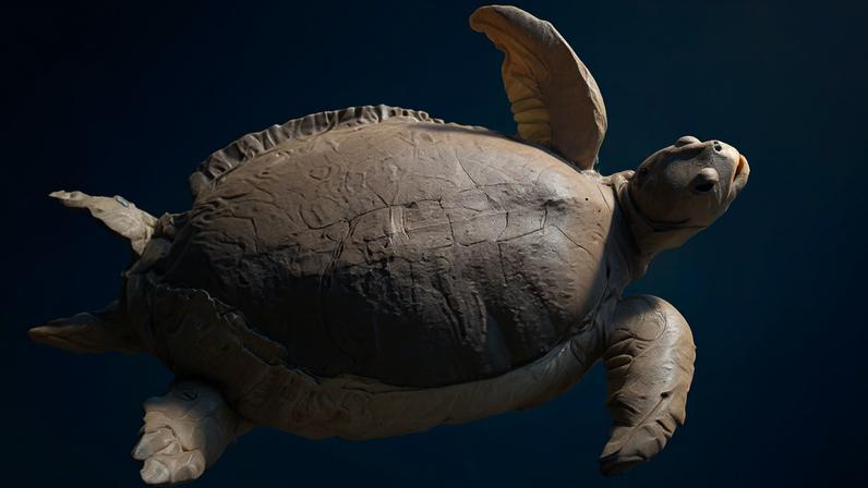 Austrália estabelece a primeira Área Marinha Indígena Protegida