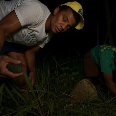 Lei reconhece ofício das quebradeiras de coco babaçu como manifestação cultural