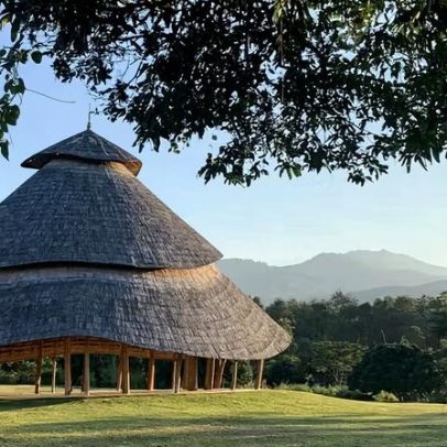 Bambu na arquitetura: curvas, vãos amplos e sustentabilidade