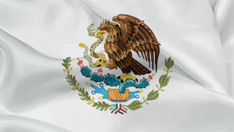 Bandeira do México | Reprodução