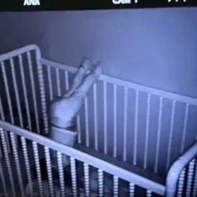 Mãe ouve barulho e vê cena curiosa em babá eletrônica