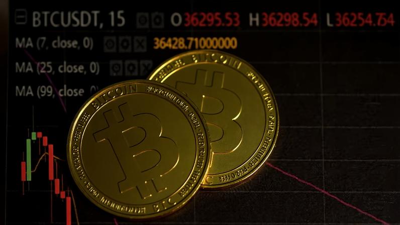 Representação do bitcoin com gráfico em queda — Foto: Kanchanara/Unsplash