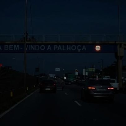 Boi invade rodovia em SC, causa confusão e mobiliza motoristas