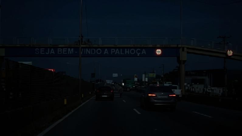 Imagem colorida mostra boi em rodovia - Metrópoles